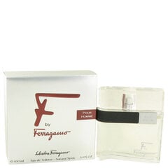 Salvatore Ferragamo F EDT vīriešiem 100 ml cena un informācija | Salvatore Ferragamo Smaržas, kosmētika | 220.lv