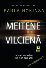 Meitene vilcienā MV cena un informācija | Romāni | 220.lv