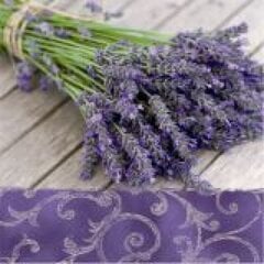 Салфетки lavender in the country, 33x33 см цена и информация | Скатерти, салфетки | 220.lv