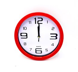 Настенные часы "Фламинго" цена и информация | Часы | 220.lv