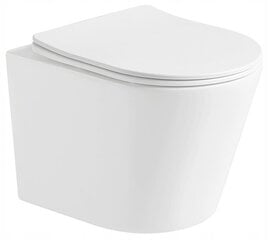 WC komplekts Mexen 5in1 Fenix Slim ar tualetes podu Rico Rimless Slim, White mat цена и информация | Унитазы | 220.lv