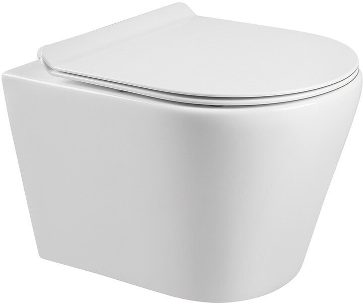 WC komplekts Mexen 5in1 Fenix Slim ar tualetes podu Rico Rimless Slim цена и информация | Tualetes podi | 220.lv