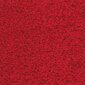 Paklājs Aruba, sarkanā krāsā - dažādi izmēri, 200 x 300 cm цена и информация | Paklāji | 220.lv