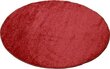 Paklājs Aruba, sarkanā krāsā - dažādi izmēri, 200 x 300 cm cena un informācija | Paklāji | 220.lv