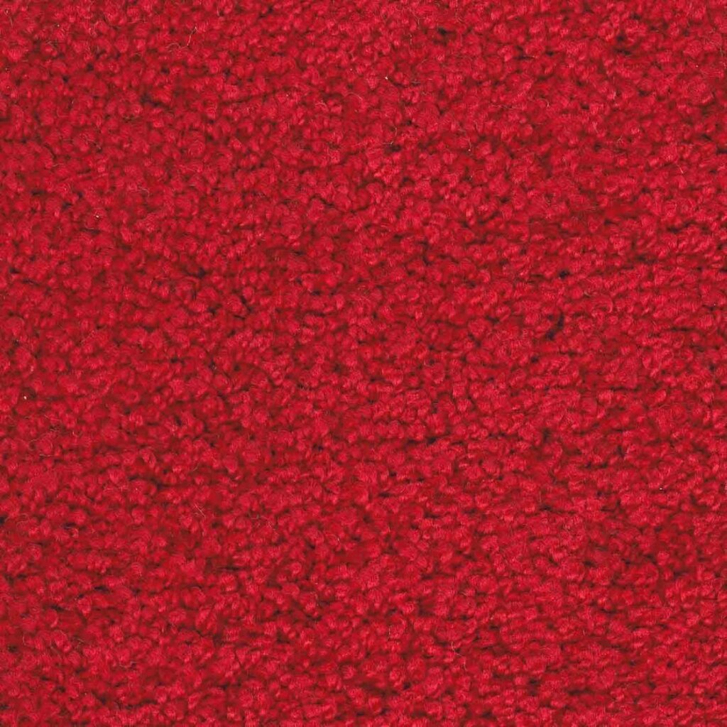 Paklājs Aruba, sarkanā krāsā - dažādi izmēri, 133 x 200 cm cena un informācija | Paklāji | 220.lv