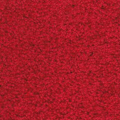 Paklājs Aruba, sarkanā krāsā - dažādi izmēri, 300 x 400 cm cena un informācija | Paklāji | 220.lv