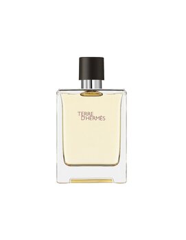 Tualetes ūdens Hermes Terre d'Hermes EDT vīriešiem, 100 ml cena un informācija | Vīriešu smaržas | 220.lv