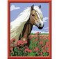Krāsojamā glezna Ravensburger, 18X24cm "Zirgs magonēs", Li R28652 cena un informācija | Gleznas pēc numuriem | 220.lv