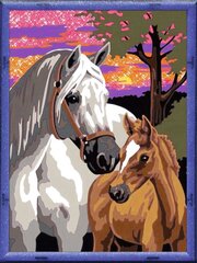 Krāsojamā glezna (ar spīdumiem) Ravensburger, 18X24cm "Zirgi", Li R28568 cena un informācija | Ravensburger Rotaļlietas, bērnu preces | 220.lv