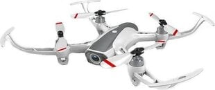 Syma W1 Pro 4K цена и информация | Дроны | 220.lv