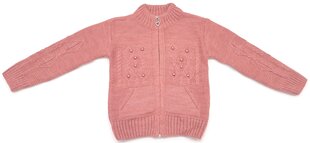 Кофта для девочки на молнии, цвет розовый цена и информация | Свитеры, жилетки, пиджаки для девочек | 220.lv