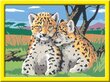 Krāsojamā glezna Ravensburger, 18X24 cm "Leopardi", Li R28486 cena un informācija | Gleznas pēc numuriem | 220.lv