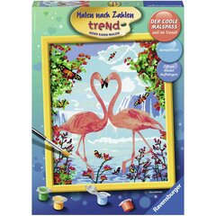 Krāsojama glezna Ravensburger, 30X24cm "Flamingo Love", Li R28901 cena un informācija | Gleznas pēc numuriem | 220.lv