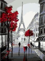 Kартины по номерам "Париж и люди" 40x60 G цена и информация | Живопись по номерам | 220.lv