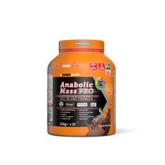 Namedsport Anabolic Mass Pro 1.6 kg cena un informācija | Aminoskābes | 220.lv