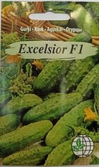 Огурцы Excelsior F1 цена и информация | Семена овощей, ягод | 220.lv