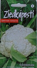 Ziedkāposti Goodman цена и информация | Семена овощей, ягод | 220.lv