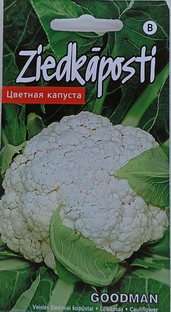 Ziedkāposti Goodman cena un informācija | Dārzeņu, ogu sēklas | 220.lv