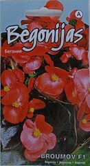 Begonijas (leduspuķes) Broumov F1 цена и информация | Семена цветов | 220.lv