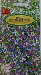 Лобелия свисающая цена и информация | Семена цветов | 220.lv