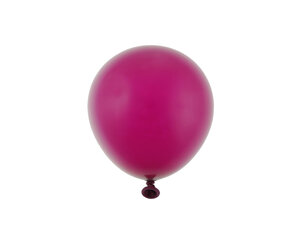 Baloni Beauty & Charm, plūmju pasteļtoņi 12 cm, 20 gab. цена и информация | Шарики | 220.lv