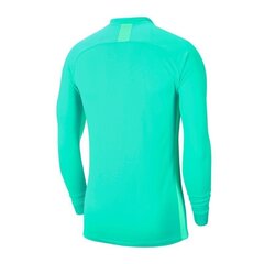 Спортивные футболки мужские Nike Dry Referee LS M AA0736- 354 (59829) цена и информация | Мужская спортивная одежда | 220.lv