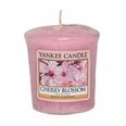 Ароматическая свеча Yankee Candle Cherry Blossom 49г