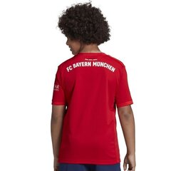 T- krekls zēniem Adidas FC Bayern H JSY Y Junior DX9253, sarkans cena un informācija | Zēnu krekli | 220.lv