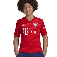 T- krekls zēniem Adidas FC Bayern H JSY Y Junior DX9253, sarkans cena un informācija | Zēnu krekli | 220.lv