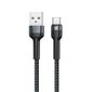 Remax USB - USB Type C lādētājs RC-124a цена и информация | Savienotājkabeļi | 220.lv