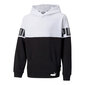 Zēnu Sporta Krekls, Puma Colorblock, Balts S6421375 cena un informācija | Zēnu jakas, džemperi, žaketes, vestes | 220.lv