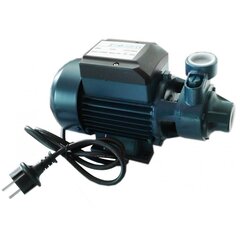 Ūdens sūkņa motors QB60 cena un informācija | Hidrofori | 220.lv