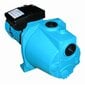 Ūdens sūkņa motors AUJET80S cena un informācija | Hidrofori | 220.lv