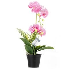 Mākslīgā Orhideja Orchi Powderpink, 60 cm cena un informācija | Interjera priekšmeti | 220.lv