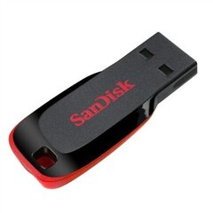 Память SanDisk 32 ГБ цена и информация | USB накопители | 220.lv