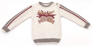 Džemperi zēniem; Krāsa pelēka cena un informācija | Zēnu jakas, džemperi, žaketes, vestes | 220.lv