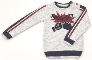 Džemperi zēniem; Krāsa gaiši pelēka cena un informācija | Zēnu jakas, džemperi, žaketes, vestes | 220.lv