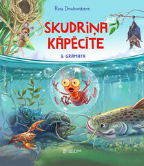 Skudriņa Kāpēcīte 3. grāmata цена и информация | Книги для самых маленьких | 220.lv