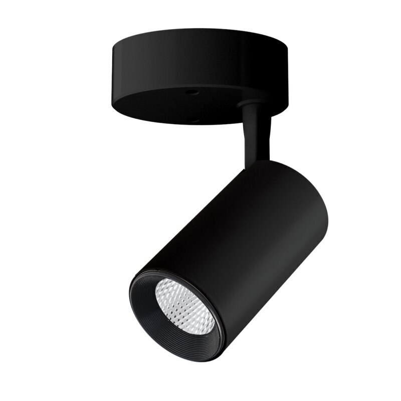 Plafonveida melns LED gaismeklis "TELA" 7W-4000K cena un informācija | Griestu lampas | 220.lv