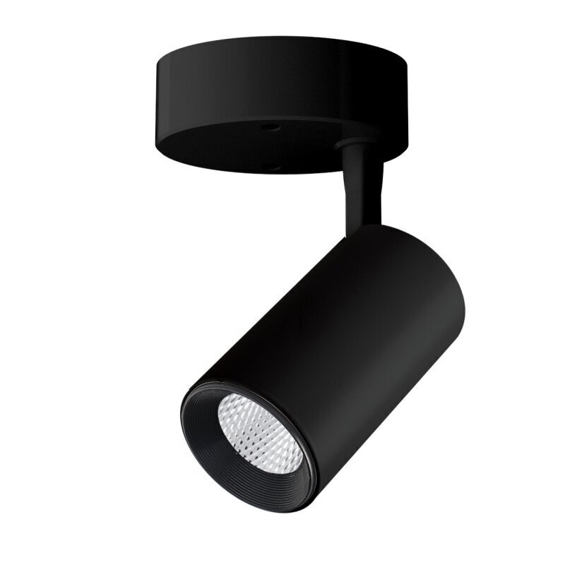 Plafonveida melns LED gaismeklis "TELA" 10W-4000K cena un informācija | Griestu lampas | 220.lv
