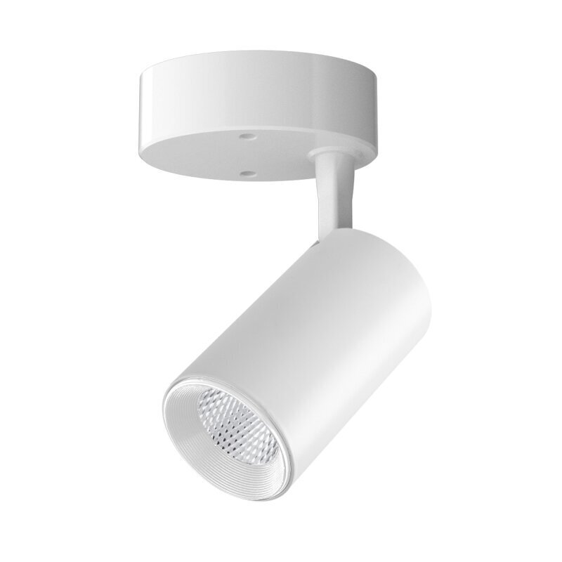 Plafonveida balts LED gaismeklis "TELA" 7W-3000K cena un informācija | Griestu lampas | 220.lv