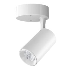 Plafonveida balts LED gaismeklis "TELA" 10W-3000K цена и информация | Потолочные светильники | 220.lv