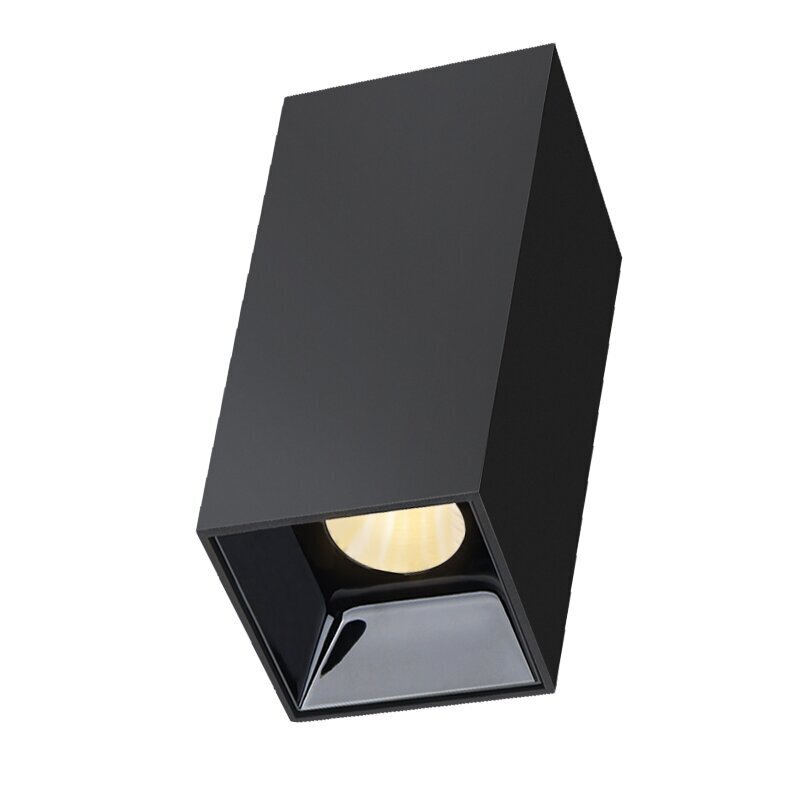 Plafonveida melns LED gaismeklis "TANGA" 15W cena un informācija | Griestu lampas | 220.lv