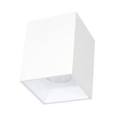 Plafonveida balts LED gaismeklis "TANGA" 7W цена и информация | Потолочные светильники | 220.lv