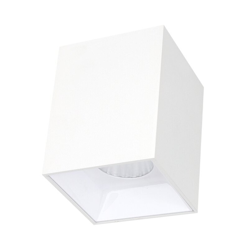 Plafonveida balts LED gaismeklis "TANGA" 7W цена и информация | Griestu lampas | 220.lv