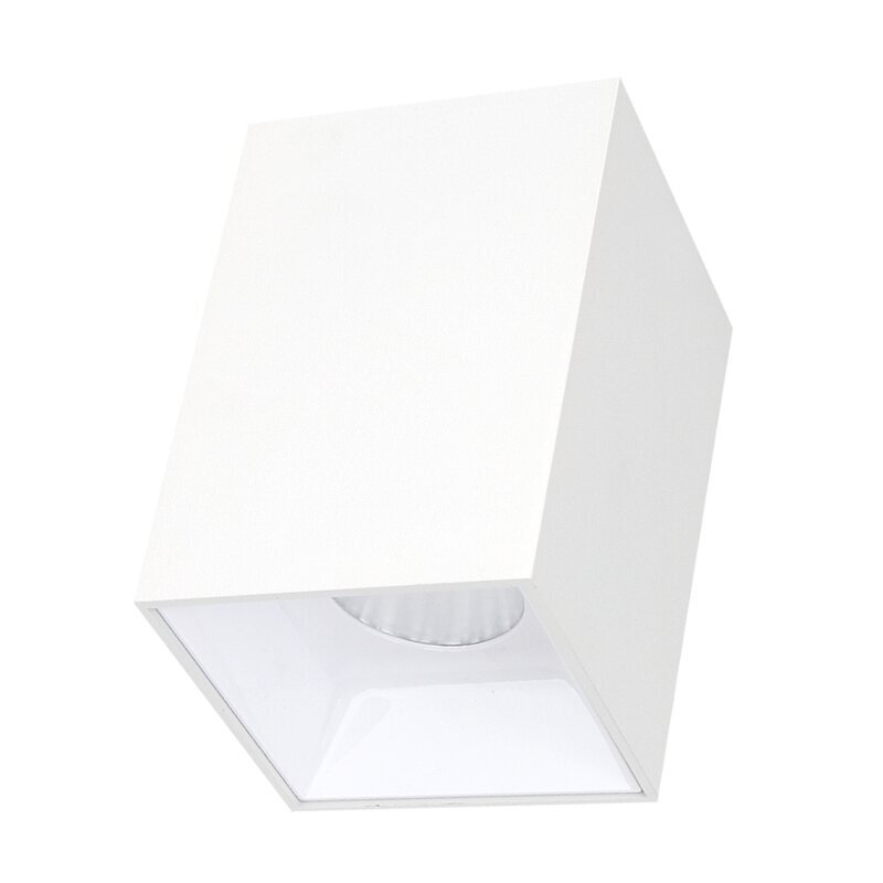 Plafonveida balts LED gaismeklis "TANGA" 12W цена и информация | Griestu lampas | 220.lv