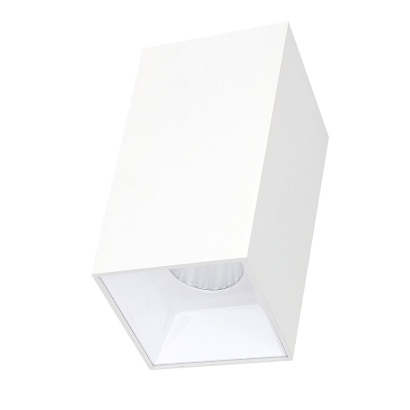 Plafonveida balts LED gaismeklis "TANGA" 15W cena un informācija | Griestu lampas | 220.lv