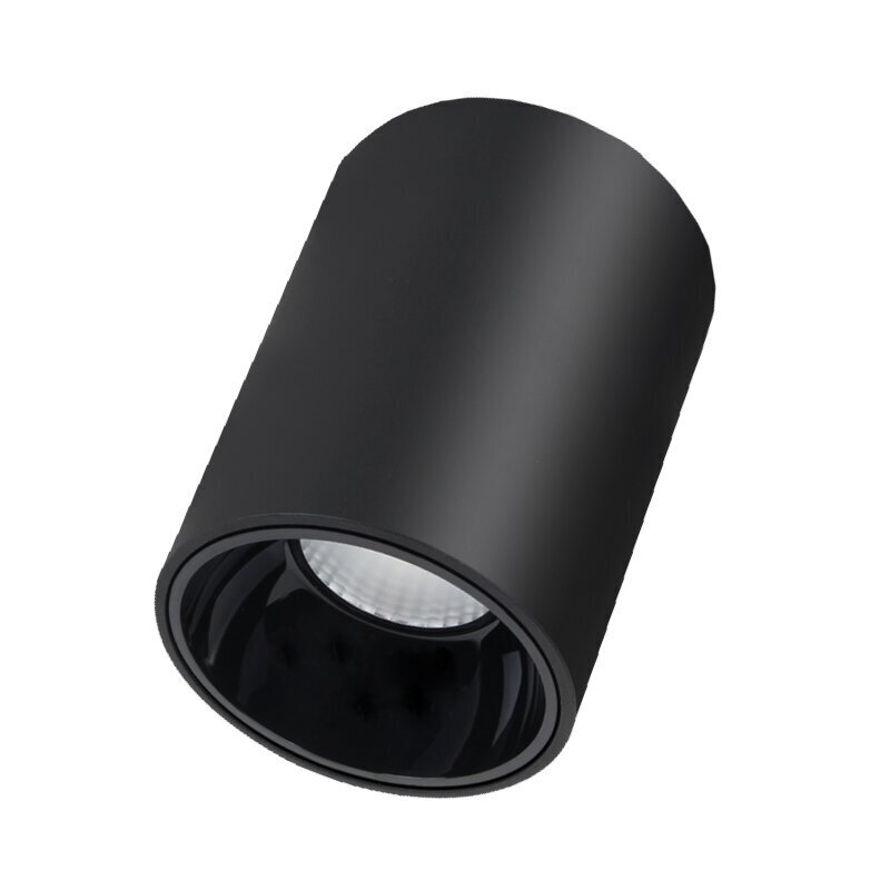 Plafonveida melns LED gaismeklis "TULSA" 20W cena un informācija | Griestu lampas | 220.lv