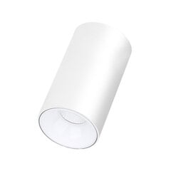 Plafonveida balts LED gaismeklis "TULSA" 10W цена и информация | Потолочные светильники | 220.lv