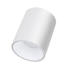 Plafonveida balts LED gaismeklis "TULSA" 20W цена и информация | Потолочные светильники | 220.lv